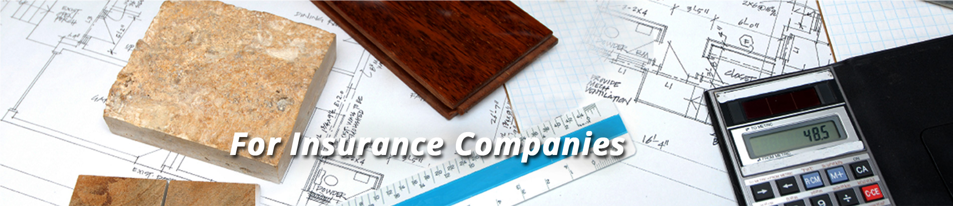 For-Insurance-Companies