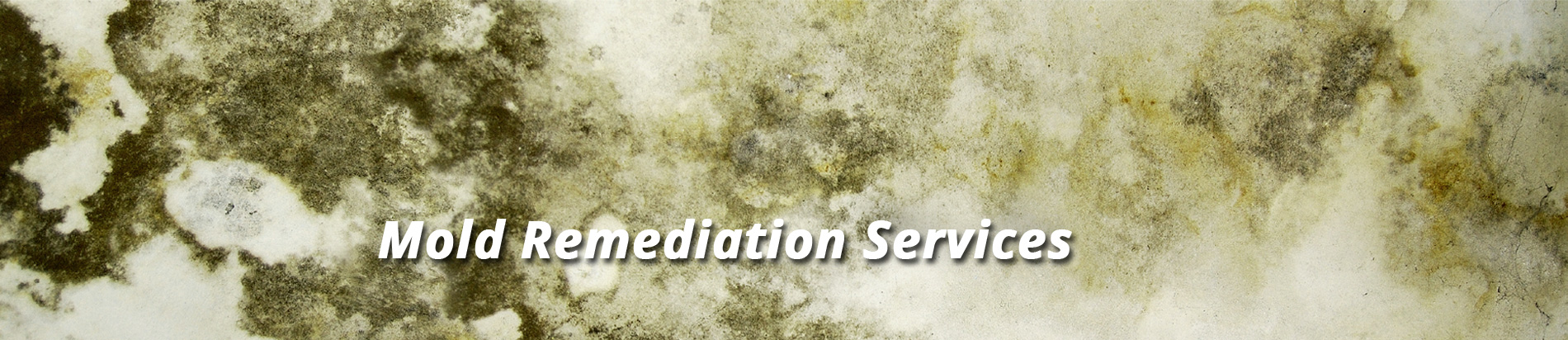 Mold-Remediation-banner